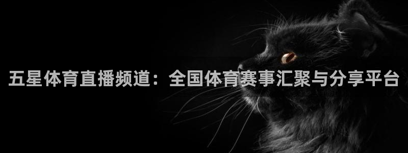 五星体育直播频道：全国体育赛事汇聚与分享平台