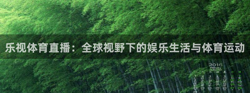 乐视体育直播：全球视野下的娱乐生活与体育运动