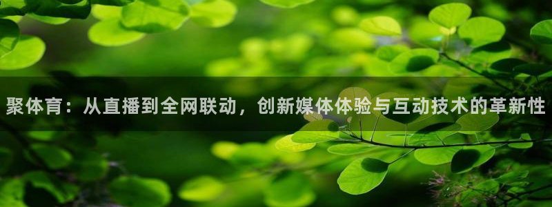 聚体育：从直播到全网联动，创新媒体体验与互动技术的革新性