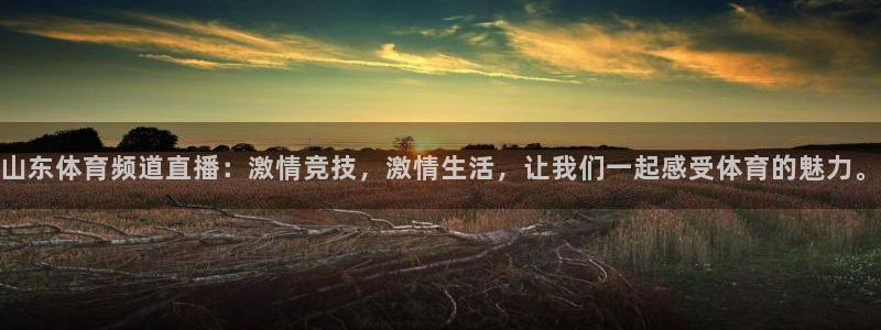山东体育频道直播：激情竞技，激情生活，让我们一起感受体育的魅力。