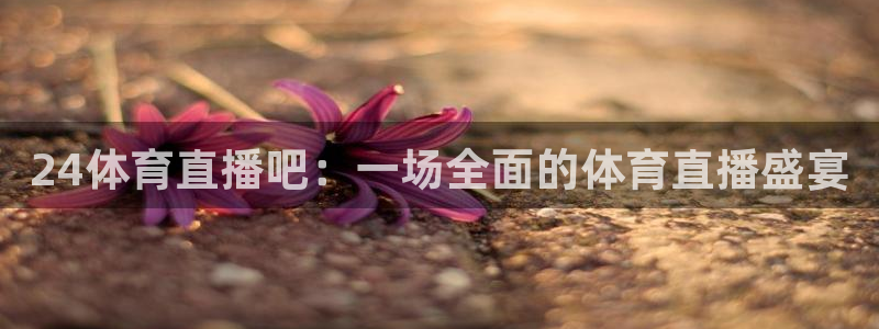 24体育直播吧：一场全面的体育直播盛宴