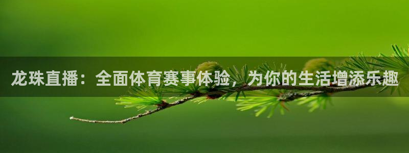 龙珠直播：全面体育赛事体验，为你的生活增添乐趣
