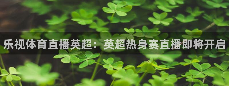 乐视体育直播英超：英超热身赛直播即将开启