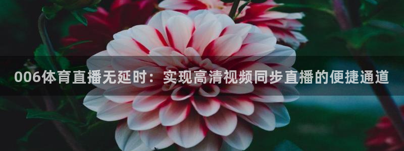 006体育直播无延时：实现高清视频同步直播的便捷通道