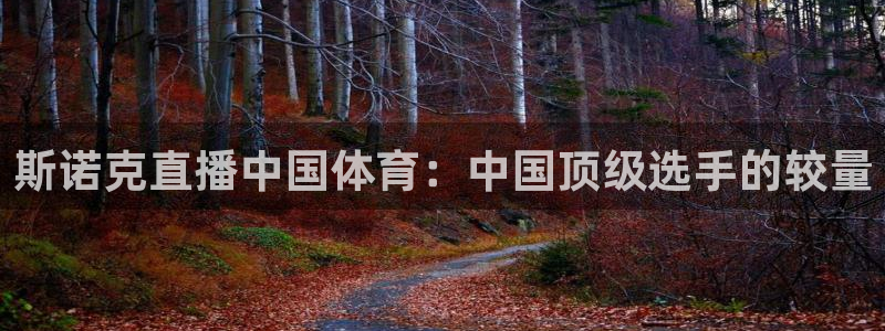 斯诺克直播中国体育：中国顶级选手的较量