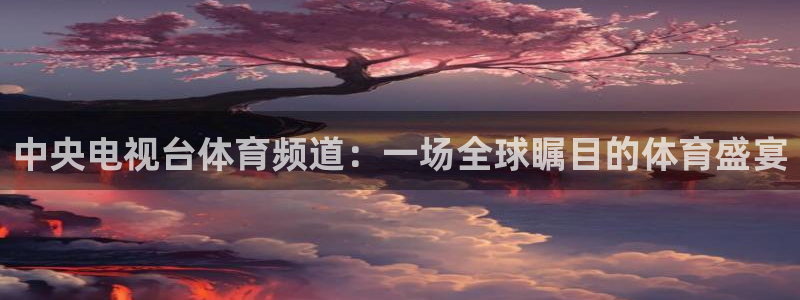 中央电视台体育频道：一场全球瞩目的体育盛宴