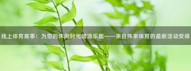 线上体育赛事：为您的休闲时光增添乐趣——来自纬来体育的最新活动安排
